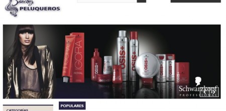 Web -Tienda Online