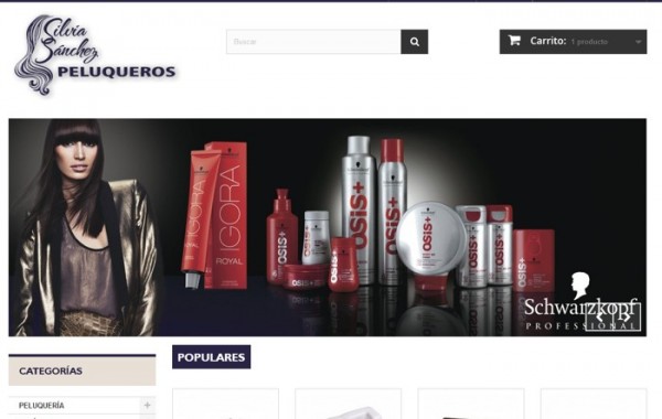 Web -Tienda Online